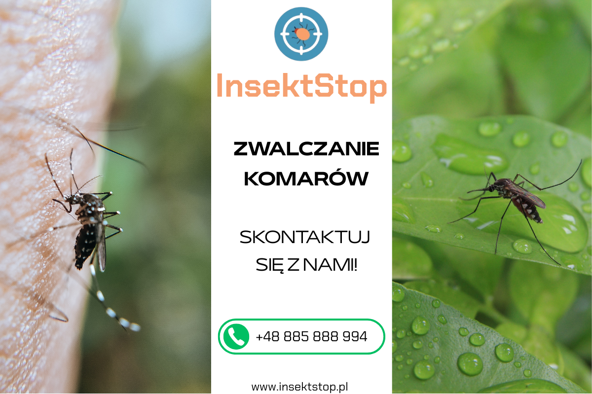 zamgławianie komary InsektStop